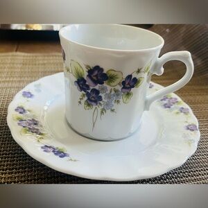 Eschenbach Floral Tea cup and Saucer Set